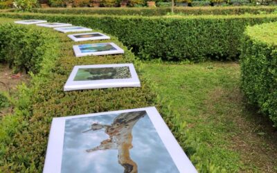 Voci dentro un verde: omaggio ad Anna Atkins – Serre Torrigiani – Firenze