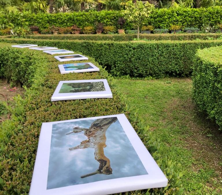 Voci dentro un verde: omaggio ad Anna Atkins – Serre Torrigiani – Firenze